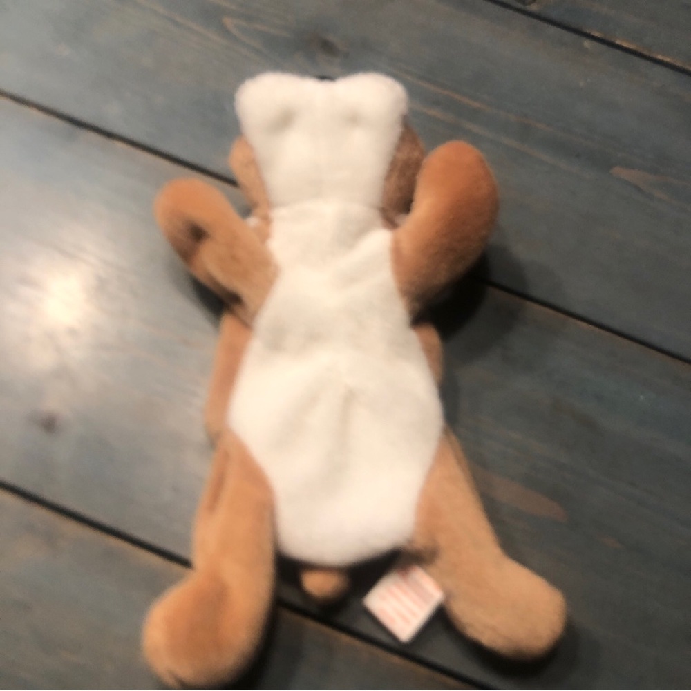 ty Wrinkles Beanie Babies - Brown and White Plush Dog Toy with Floppy Ears - Picture 3 of 10